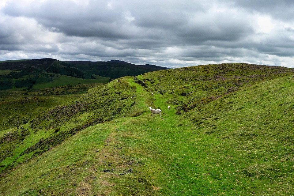 Penycloddiau (Hillfort) by thesweetcheat