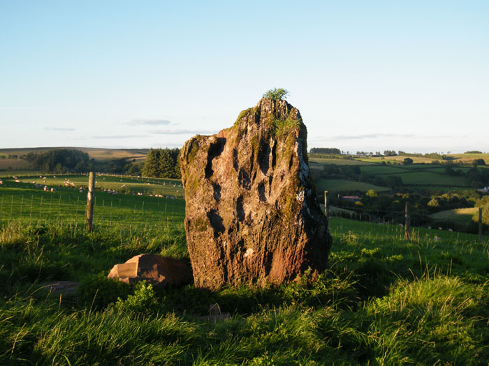 Gwern Wyddog (Standing Stone / Menhir) by cerrig