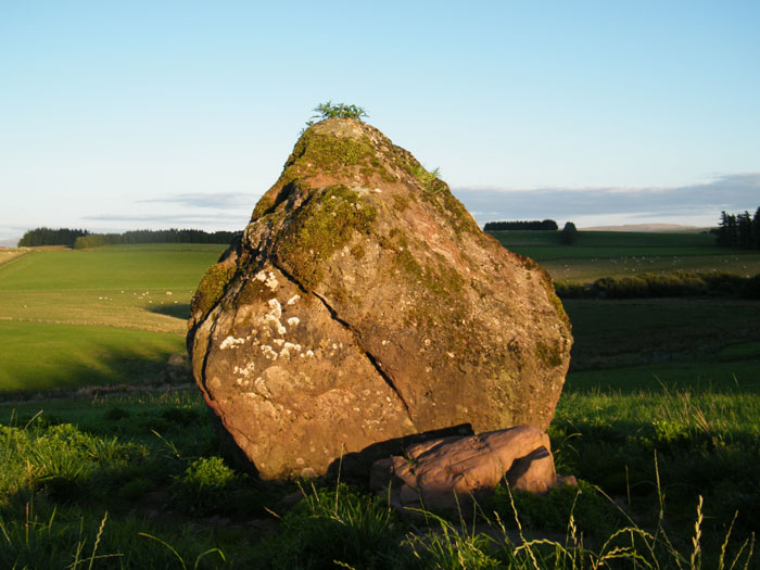 Gwern Wyddog (Standing Stone / Menhir) by cerrig