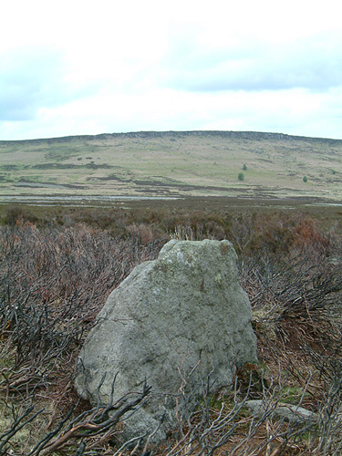 Bamford Moor South (Stone Circle) by stubob