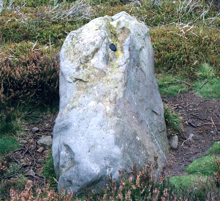 Easington High Moor (Standing Stone / Menhir) by fitzcoraldo