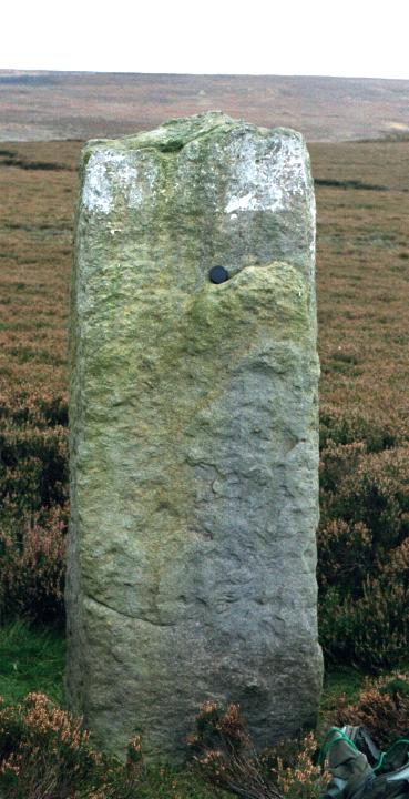 Easington High Moor (Standing Stone / Menhir) by fitzcoraldo