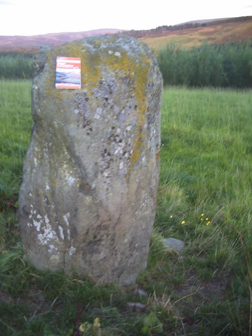 Drumelzier Haugh (Standing Stone / Menhir) by Howburn Digger