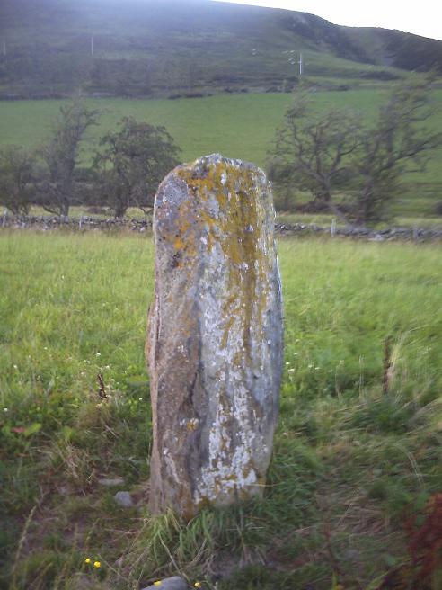 Drumelzier Haugh (Standing Stone / Menhir) by Howburn Digger
