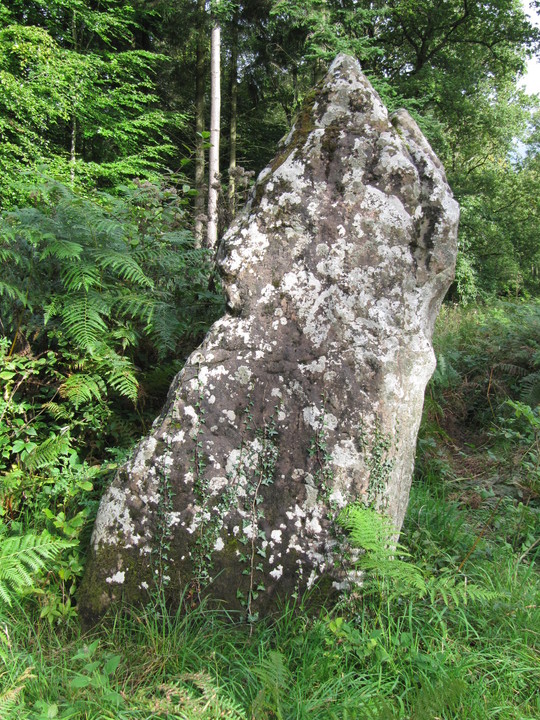 Long Stone (Staunton) (Standing Stone / Menhir) by tjj