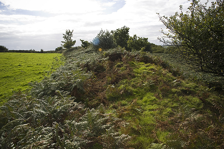 Dumpdon Hill (Hillfort) by A R Cane