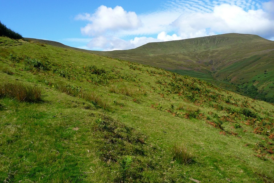 Nant Tarthwynni (Hillfort) by thesweetcheat