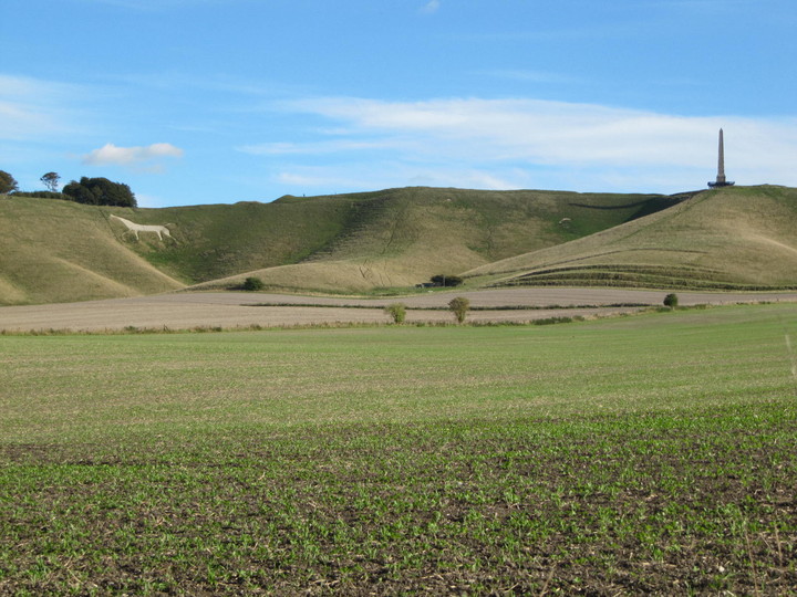 Cherhill Down and Oldbury (Hillfort) by tjj