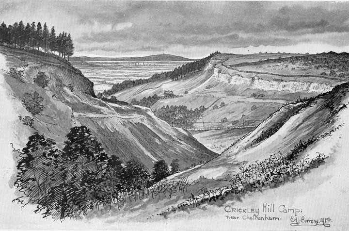 Crickley Hill (Causewayed Enclosure) by stubob