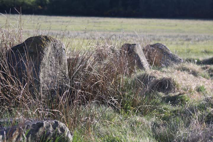 The Hoarstones (Stone Circle) by photobabe