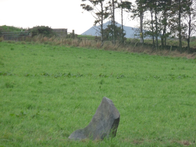 Dilly Hill (Standing Stone / Menhir) by drewbhoy