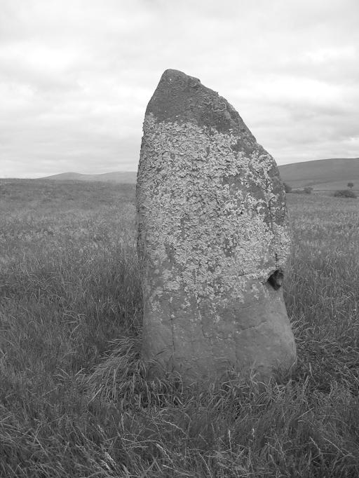 Lightshaw (Standing Stone / Menhir) by Howburn Digger