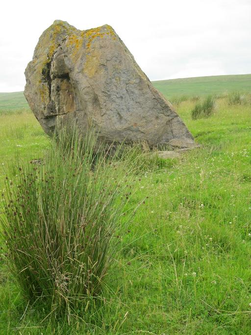 Lightshaw (Standing Stone / Menhir) by Howburn Digger