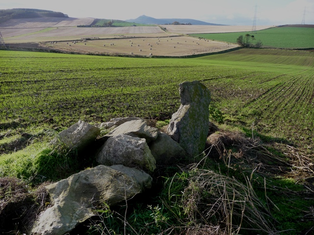 Dilly Hill 3 (Standing Stone / Menhir) by drewbhoy