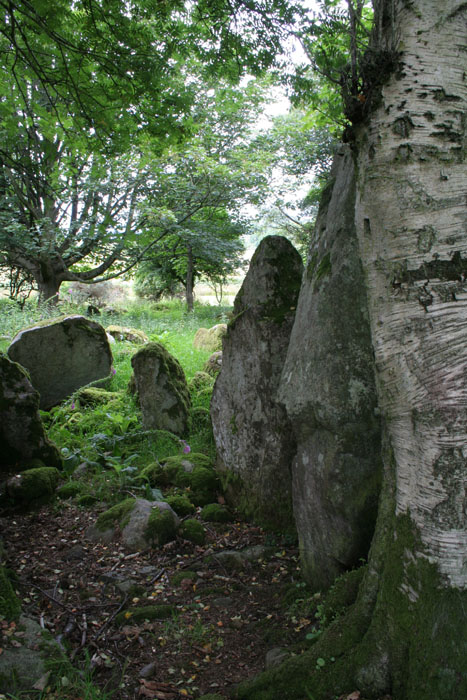 Ballyrogan Giant's Grave (Chambered Cairn) by Stonecrazy