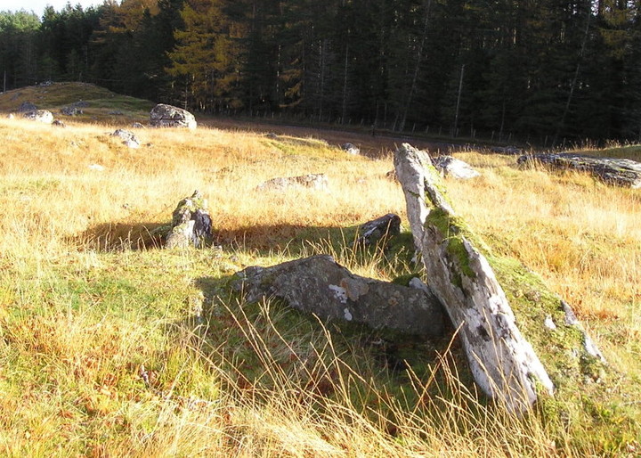 Kiltyrie (Chambered Tomb) by tiompan