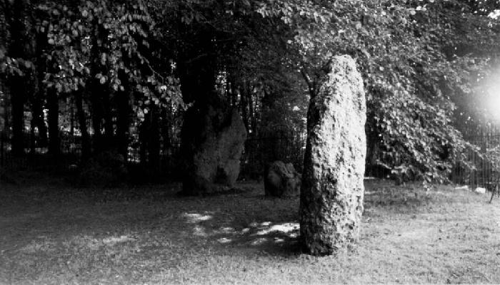 The Nine Stones of Winterbourne Abbas (Stone Circle) by pure joy