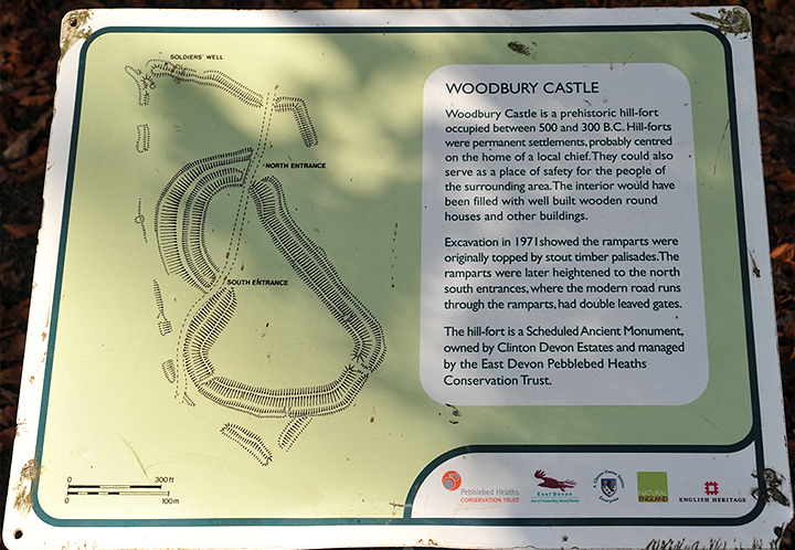 Woodbury Castle (Hillfort) by A R Cane