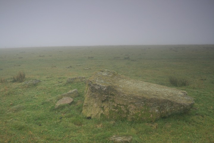 Gelli Hill stone (Standing Stone / Menhir) by postman