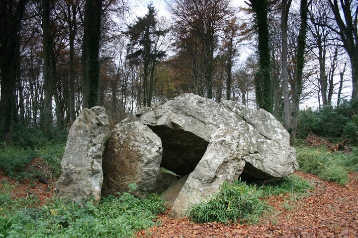 Howth Demesne (Portal Tomb) by postman