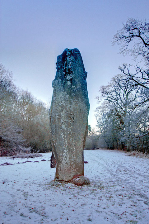 The Fish Stone (Standing Stone / Menhir) by cerrig