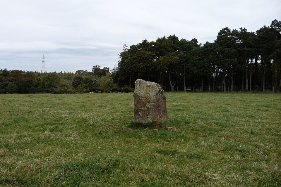 Mains of Clava NE (Standing Stone / Menhir) by thesweetcheat