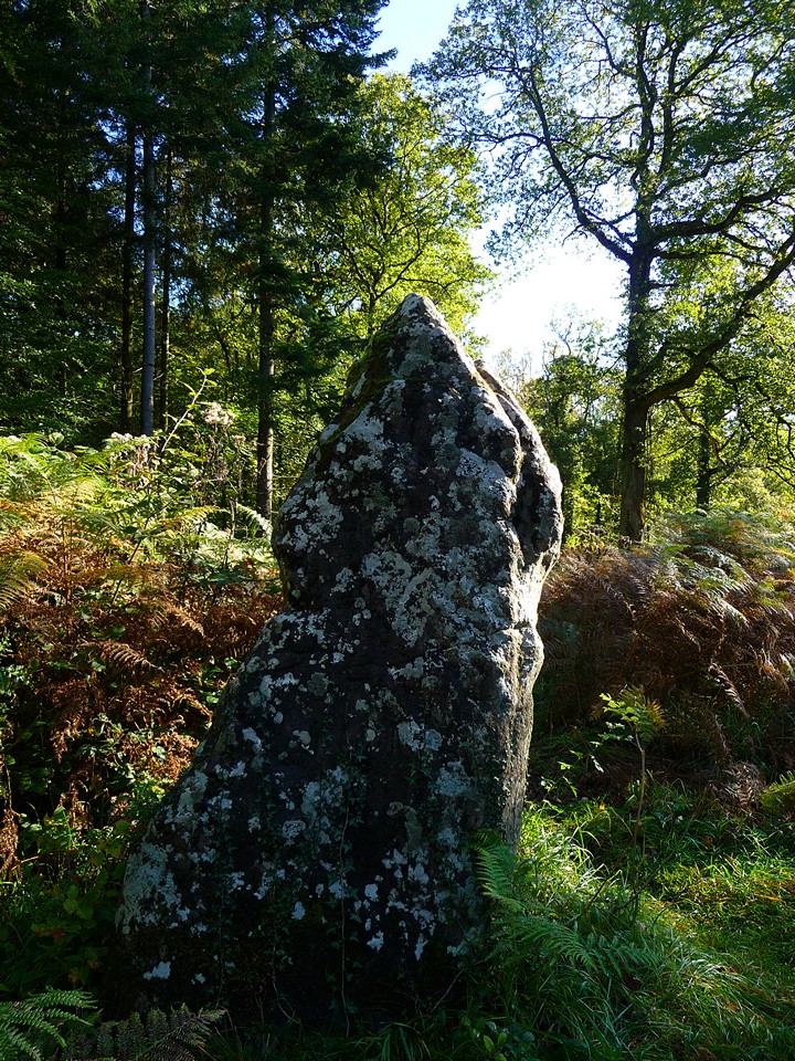 Long Stone (Staunton) (Standing Stone / Menhir) by thesweetcheat