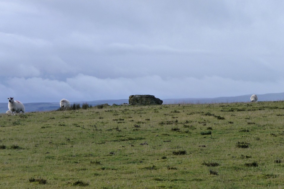 Gelli Hill stone (Standing Stone / Menhir) by thesweetcheat