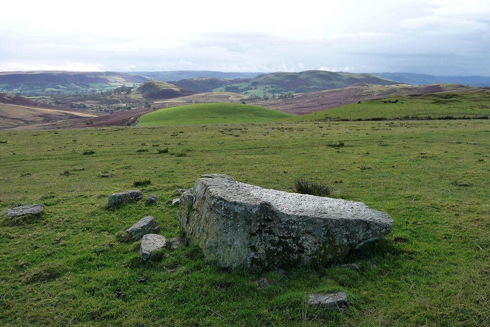 Gelli Hill stone (Standing Stone / Menhir) by thesweetcheat