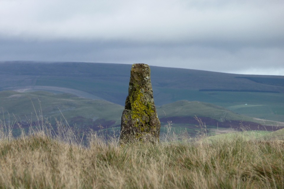 Carregwiber (stone 1) (Standing Stone / Menhir) by thesweetcheat