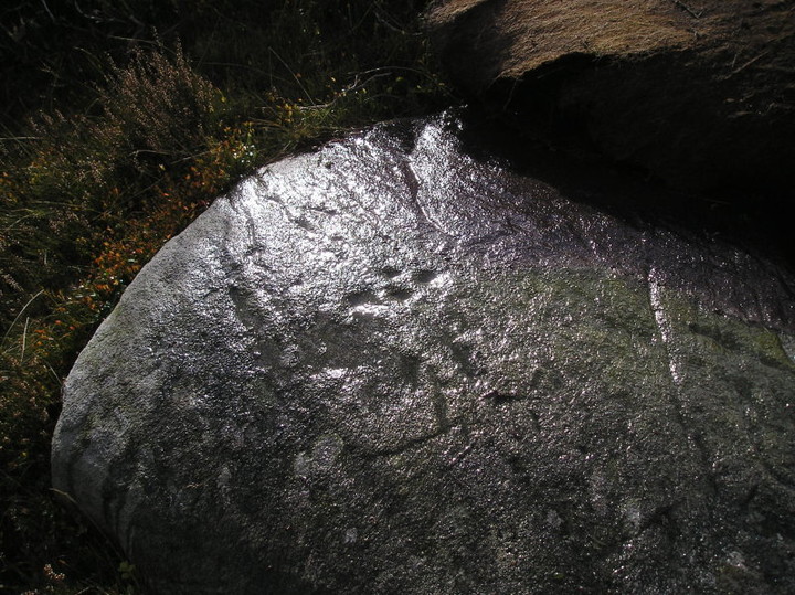 Little Trochry (Cup and Ring Marks / Rock Art) by tiompan