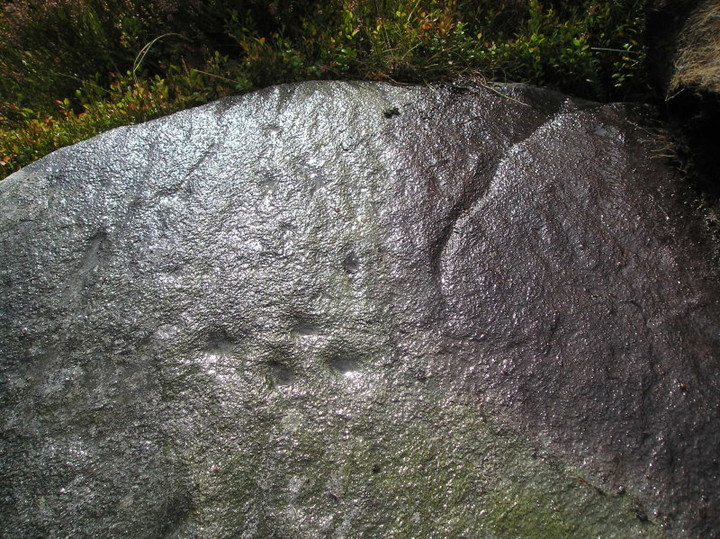Little Trochry (Cup and Ring Marks / Rock Art) by tiompan