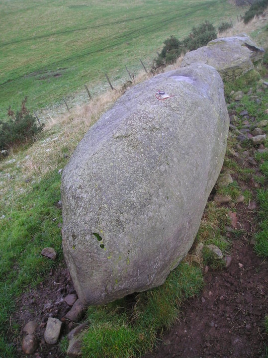 Broad Moss (Stone Circle) by tiompan