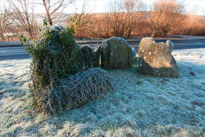 Gwernvale (Chambered Tomb) by cerrig