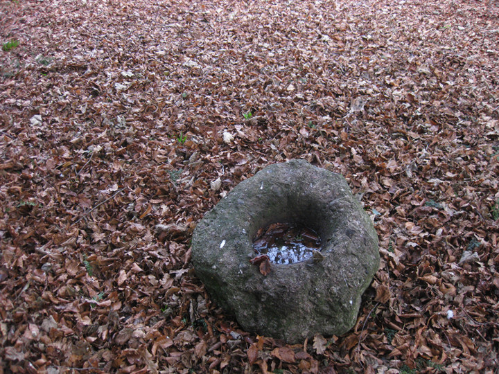 Tallaght (Bullaun Stone) by ryaner