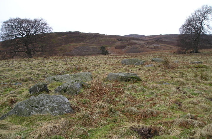 Tullybeagles Moor (Stone Circle) by tiompan