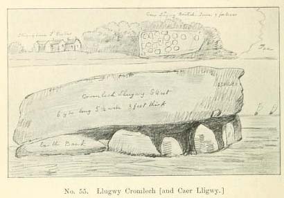 Lligwy (Dolmen / Quoit / Cromlech) by Rhiannon
