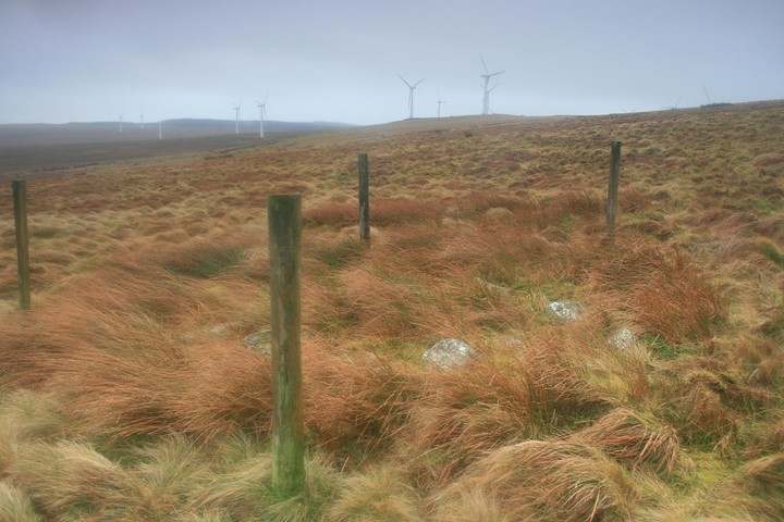 Trannon Moor (Kerbed Cairn) by postman