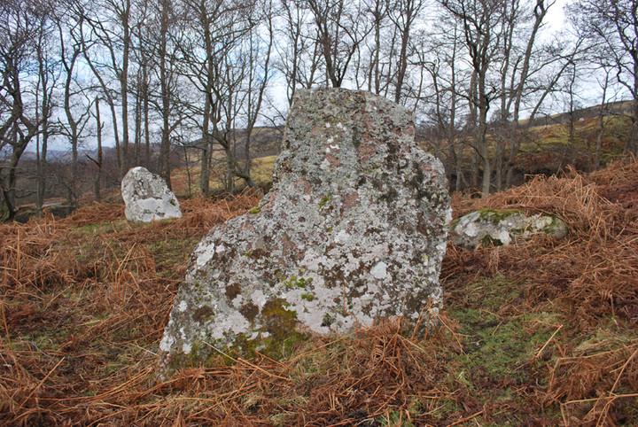 Aberscross (Stone Circle) by summerlands