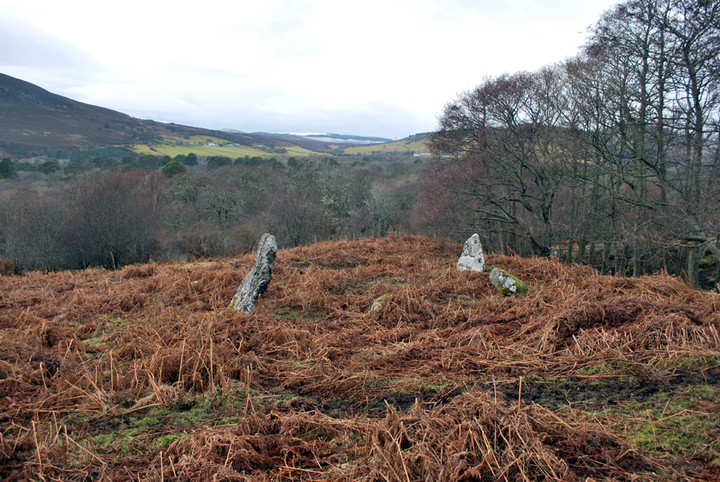 Aberscross (Stone Circle) by summerlands