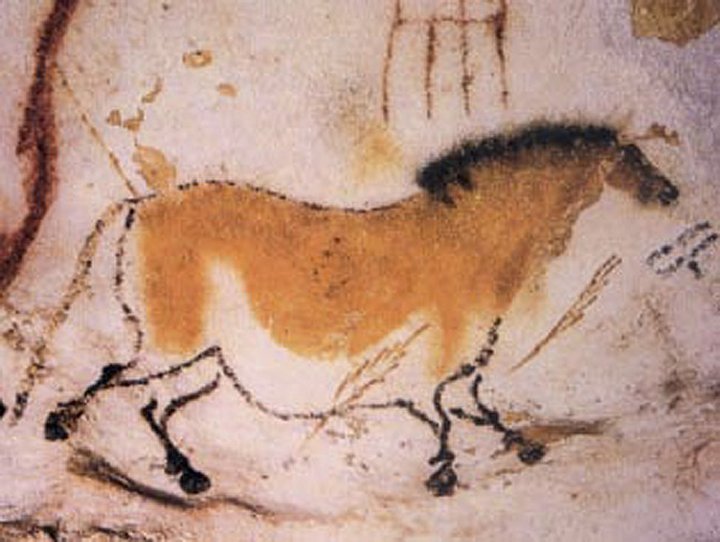 The Lascaux caves (Cave / Rock Shelter) by Chance