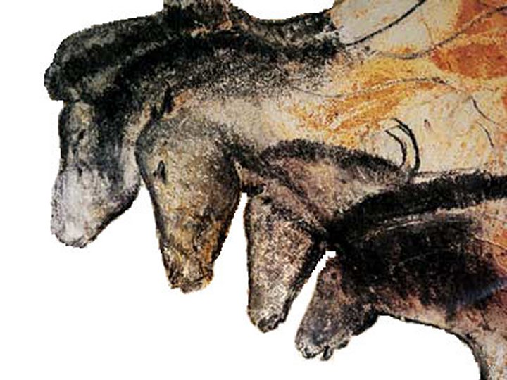 Chauvet Cave (Cave / Rock Shelter) by Chance