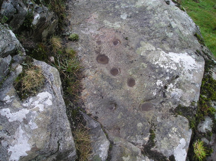 Ardveich (Cup and Ring Marks / Rock Art) by tiompan