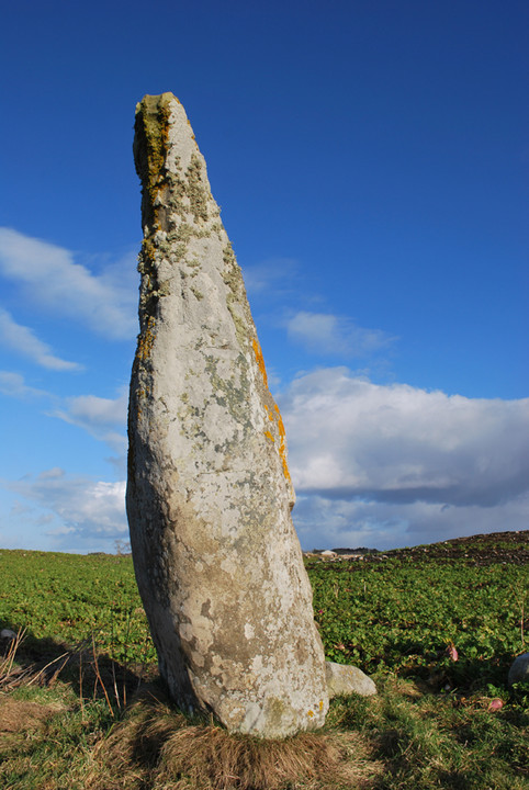Camore Wood (Standing Stone / Menhir) by summerlands