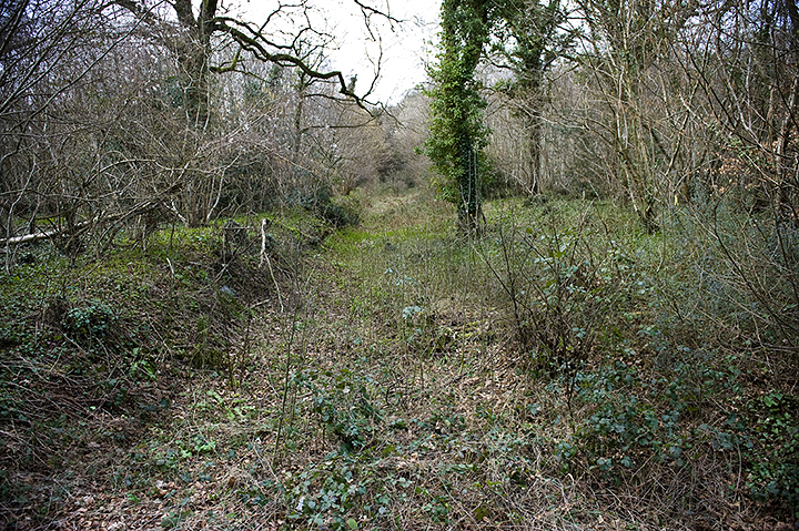 The Devil's Ditch (Dyke) by A R Cane