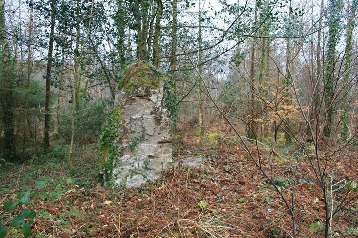 Plas Bodafon (Standing Stone / Menhir) by postman