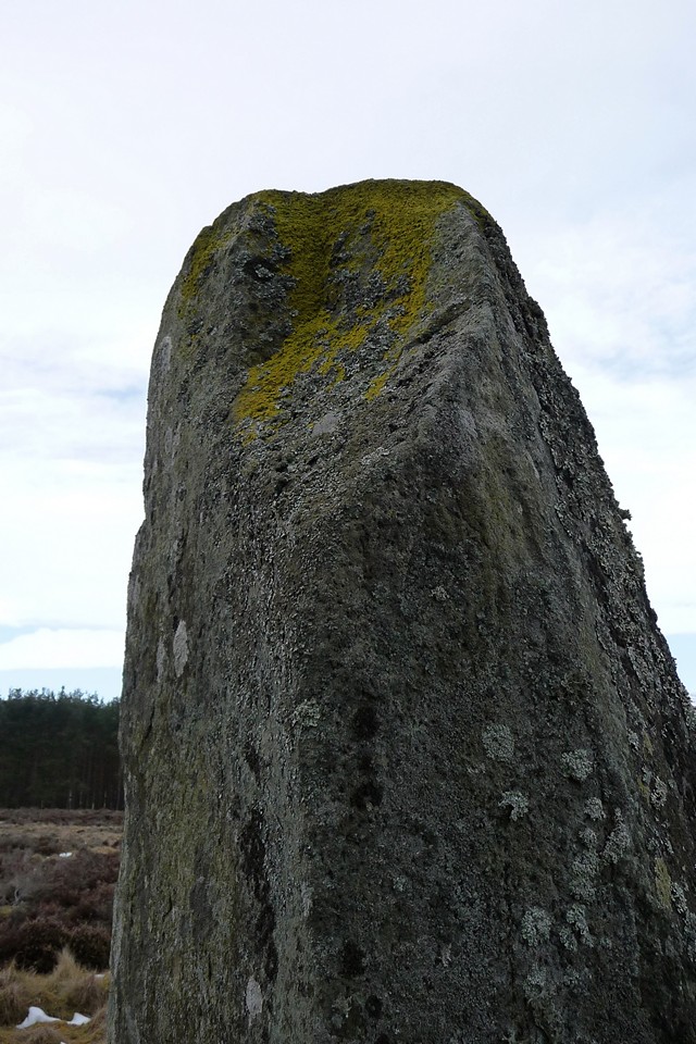 Lulach's Stone (Standing Stone / Menhir) by thesweetcheat