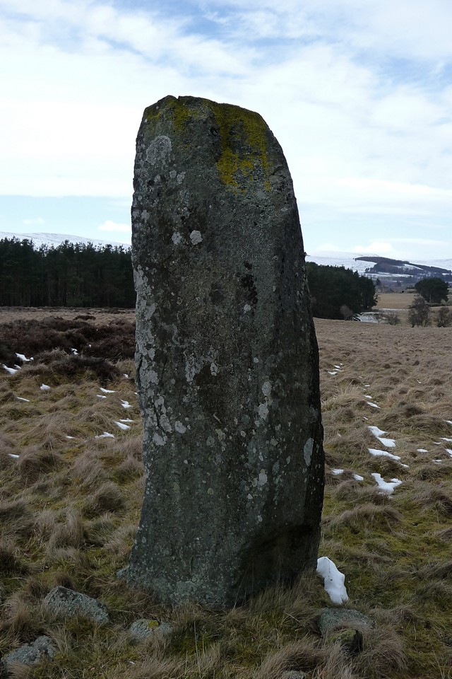 Lulach's Stone (Standing Stone / Menhir) by thesweetcheat