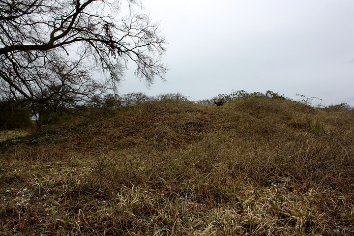 Mutlow Hill (Round Barrow(s)) by GLADMAN