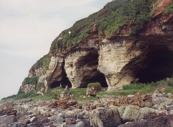 King's Cave (Carving) by Howburn Digger